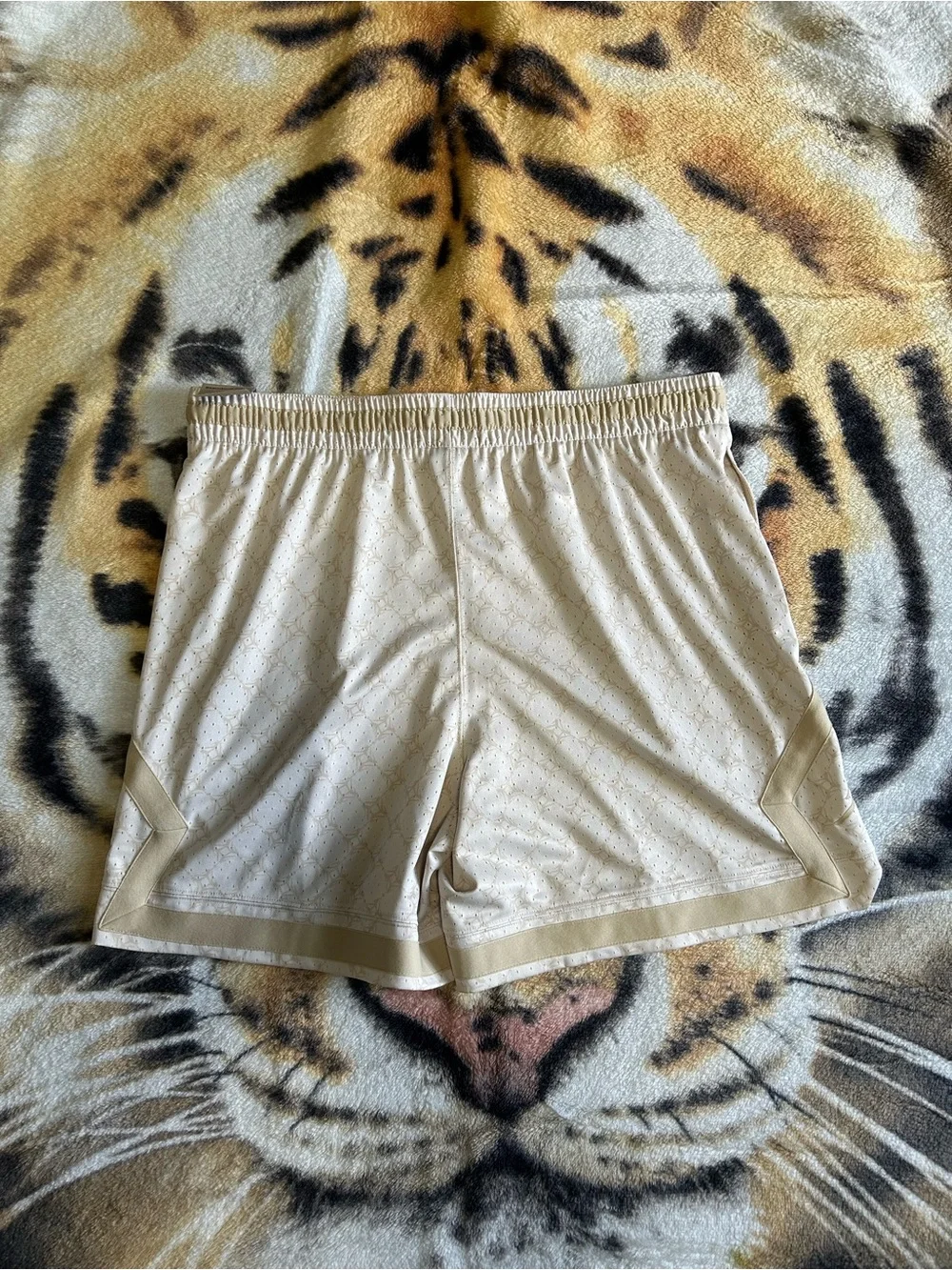 Jordan Men’s DRI-FIT Sport Printed Diamond Shorts